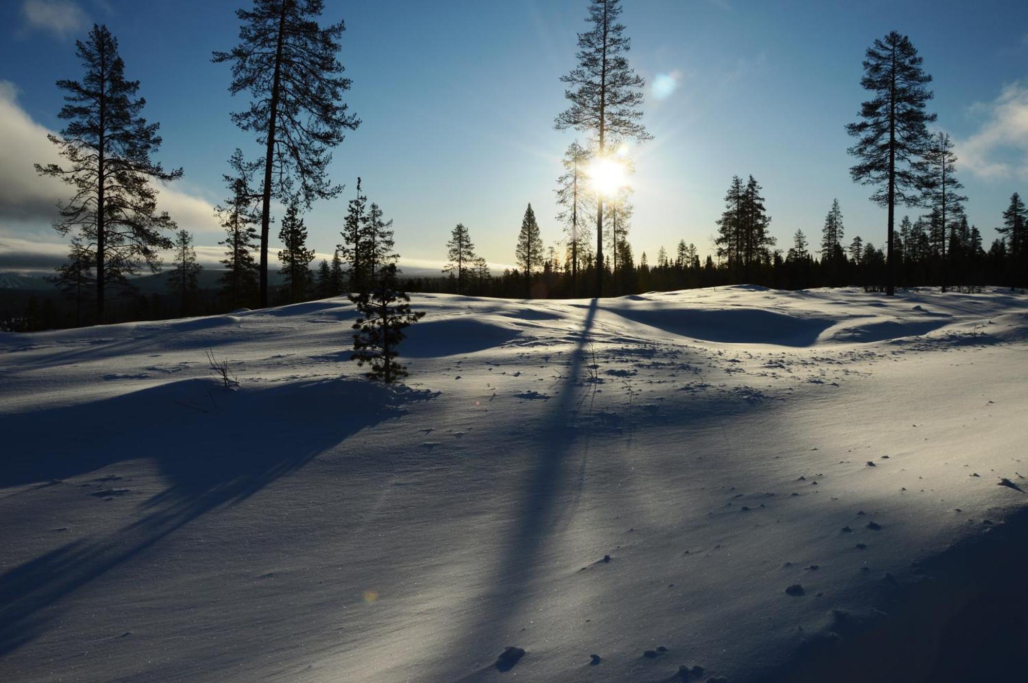 12 - Fulufjellets Nasjonalparker - Natur-, Dyre- Og Fugleopplevelser Ljørdal Kültér fotó