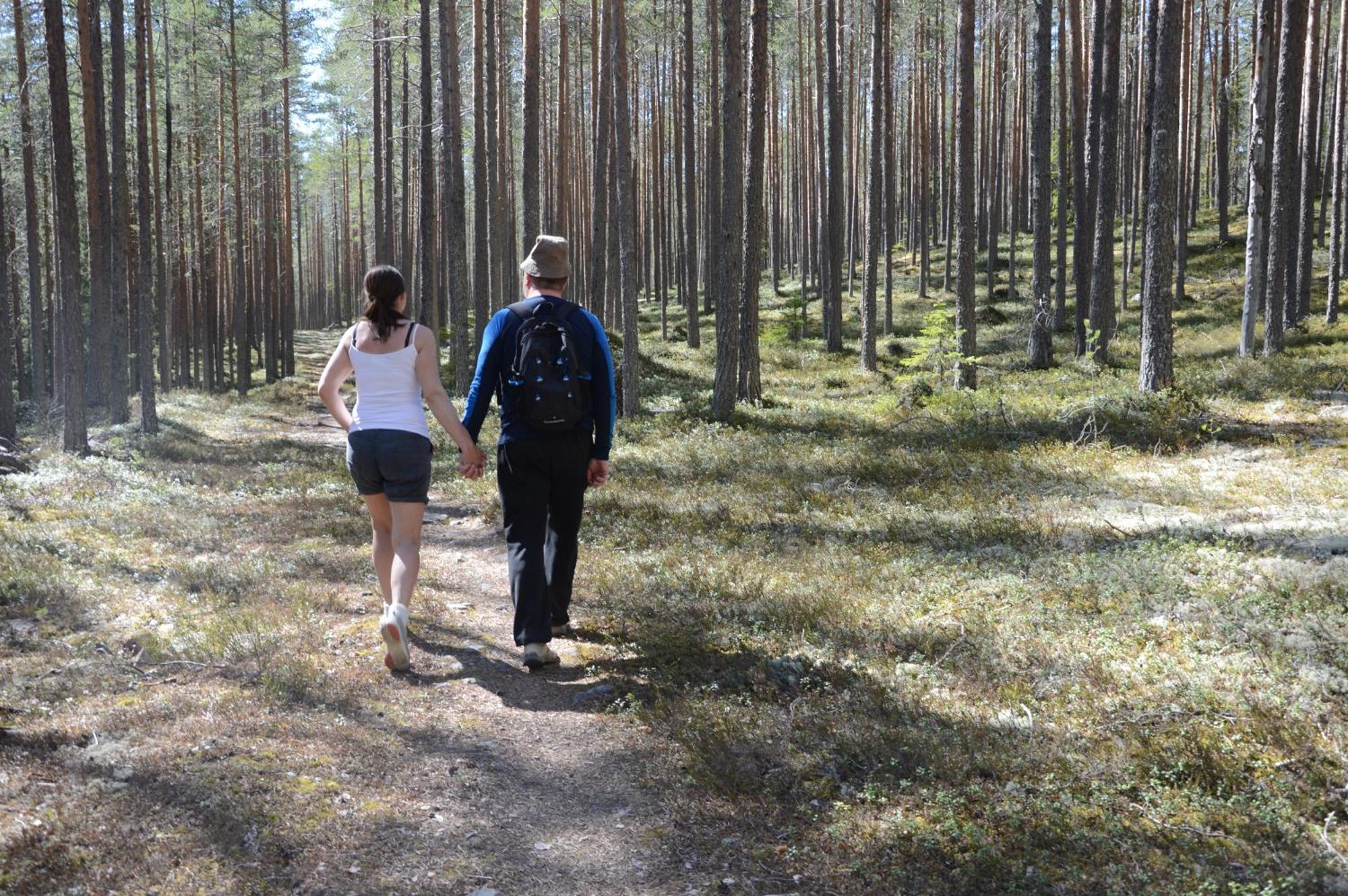 12 - Fulufjellets Nasjonalparker - Natur-, Dyre- Og Fugleopplevelser Ljørdal Kültér fotó