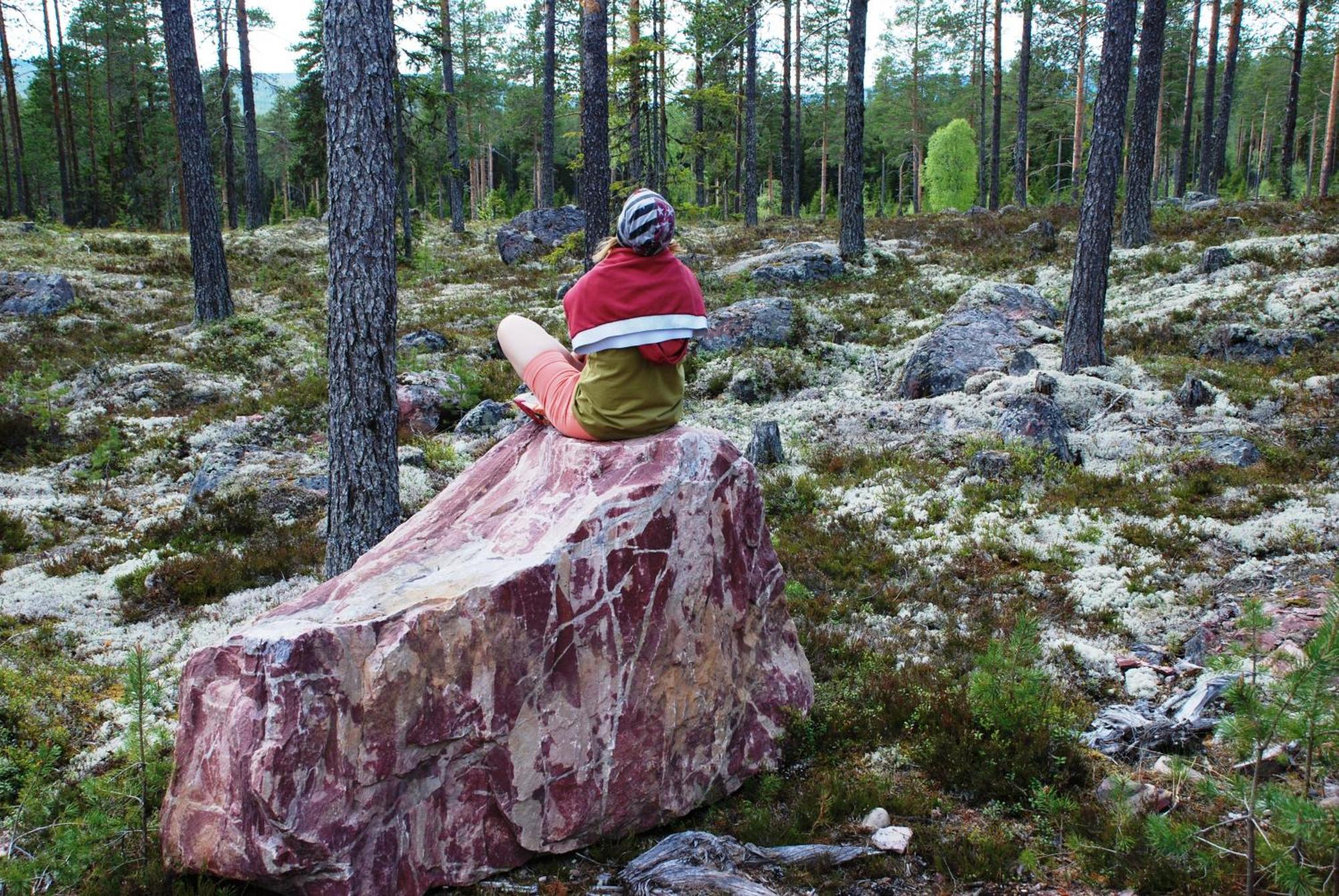 12 - Fulufjellets Nasjonalparker - Natur-, Dyre- Og Fugleopplevelser Ljørdal Kültér fotó