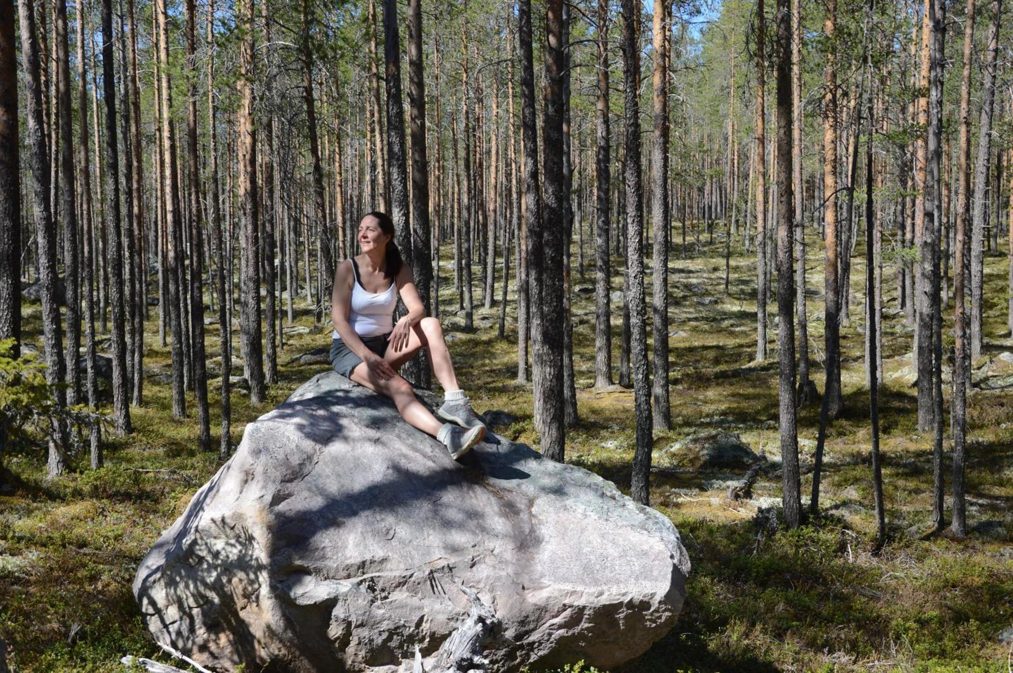 12 - Fulufjellets Nasjonalparker - Natur-, Dyre- Og Fugleopplevelser Ljørdal Kültér fotó