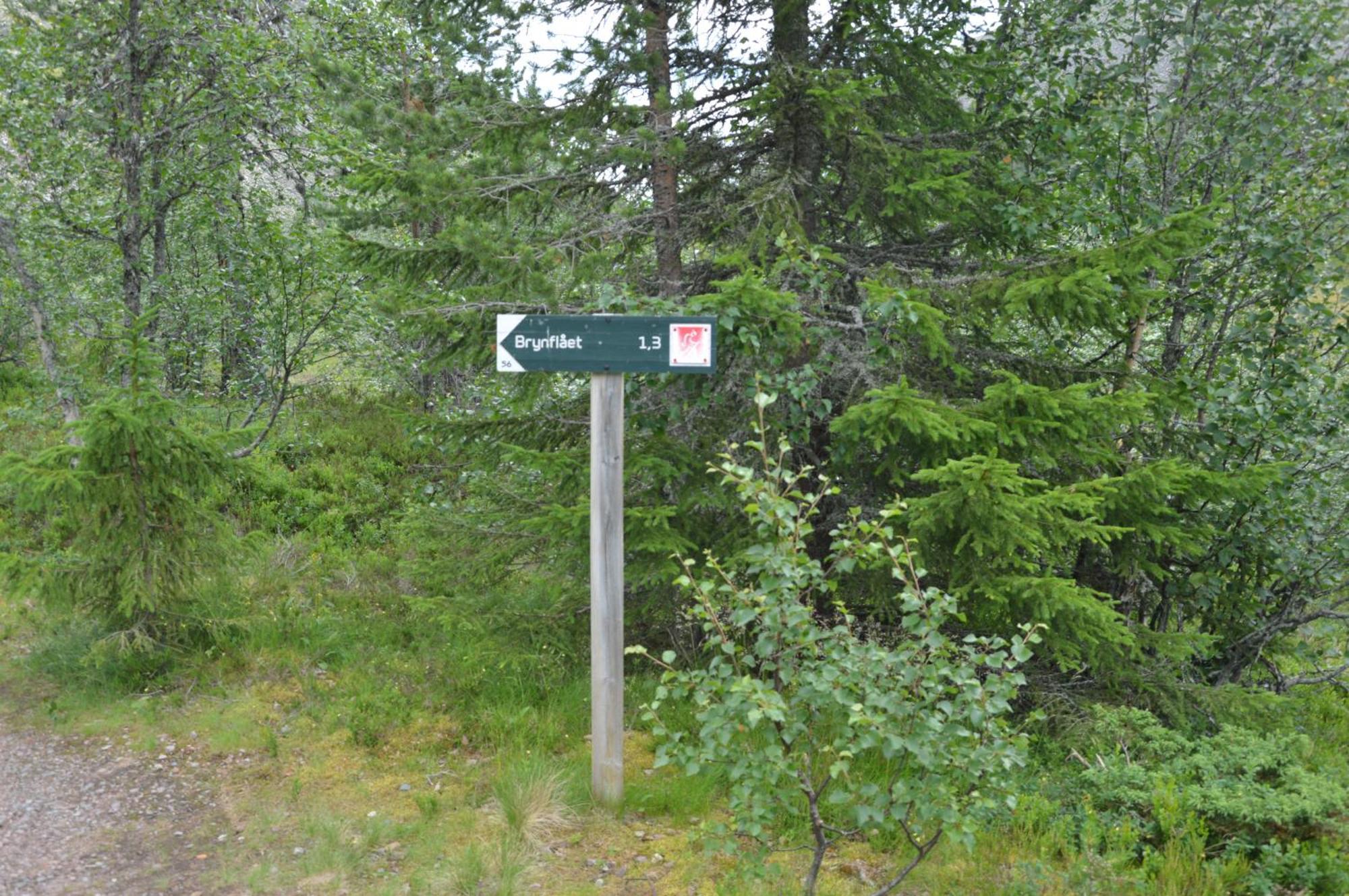 12 - Fulufjellets Nasjonalparker - Natur-, Dyre- Og Fugleopplevelser Ljørdal Kültér fotó