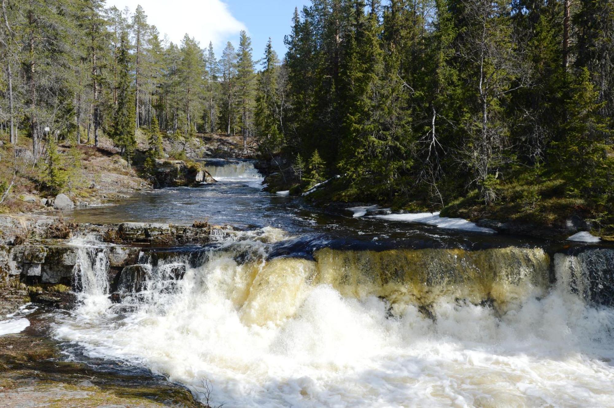 12 - Fulufjellets Nasjonalparker - Natur-, Dyre- Og Fugleopplevelser Ljørdal Kültér fotó