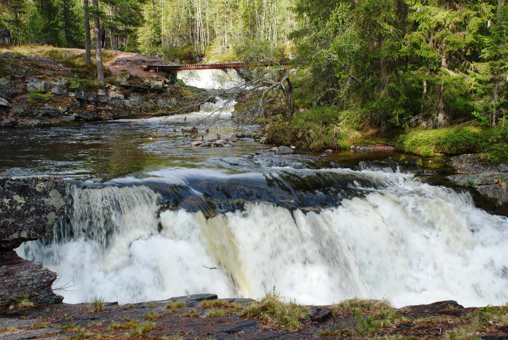 12 - Fulufjellets Nasjonalparker - Natur-, Dyre- Og Fugleopplevelser Ljørdal Kültér fotó