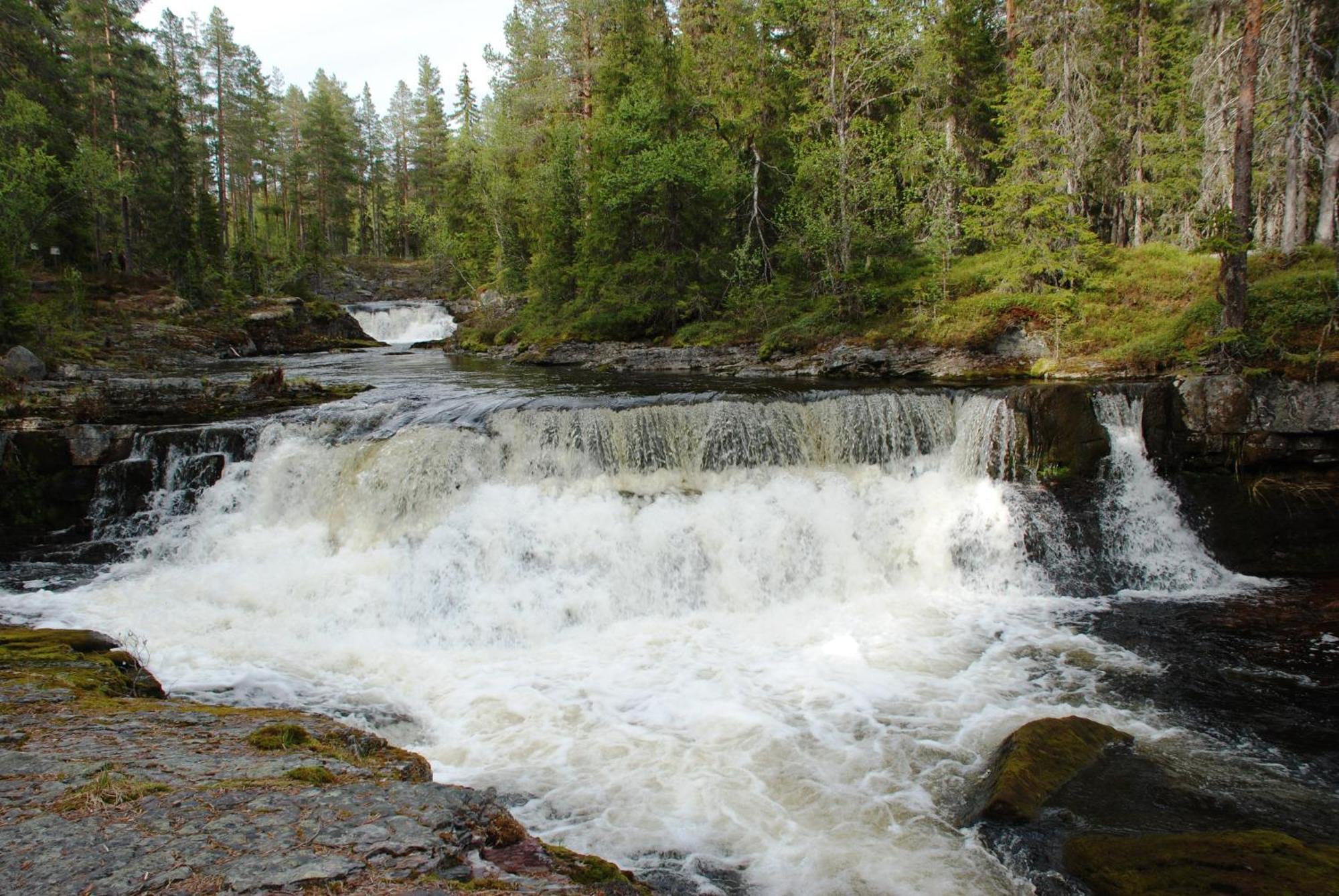 12 - Fulufjellets Nasjonalparker - Natur-, Dyre- Og Fugleopplevelser Ljørdal Kültér fotó