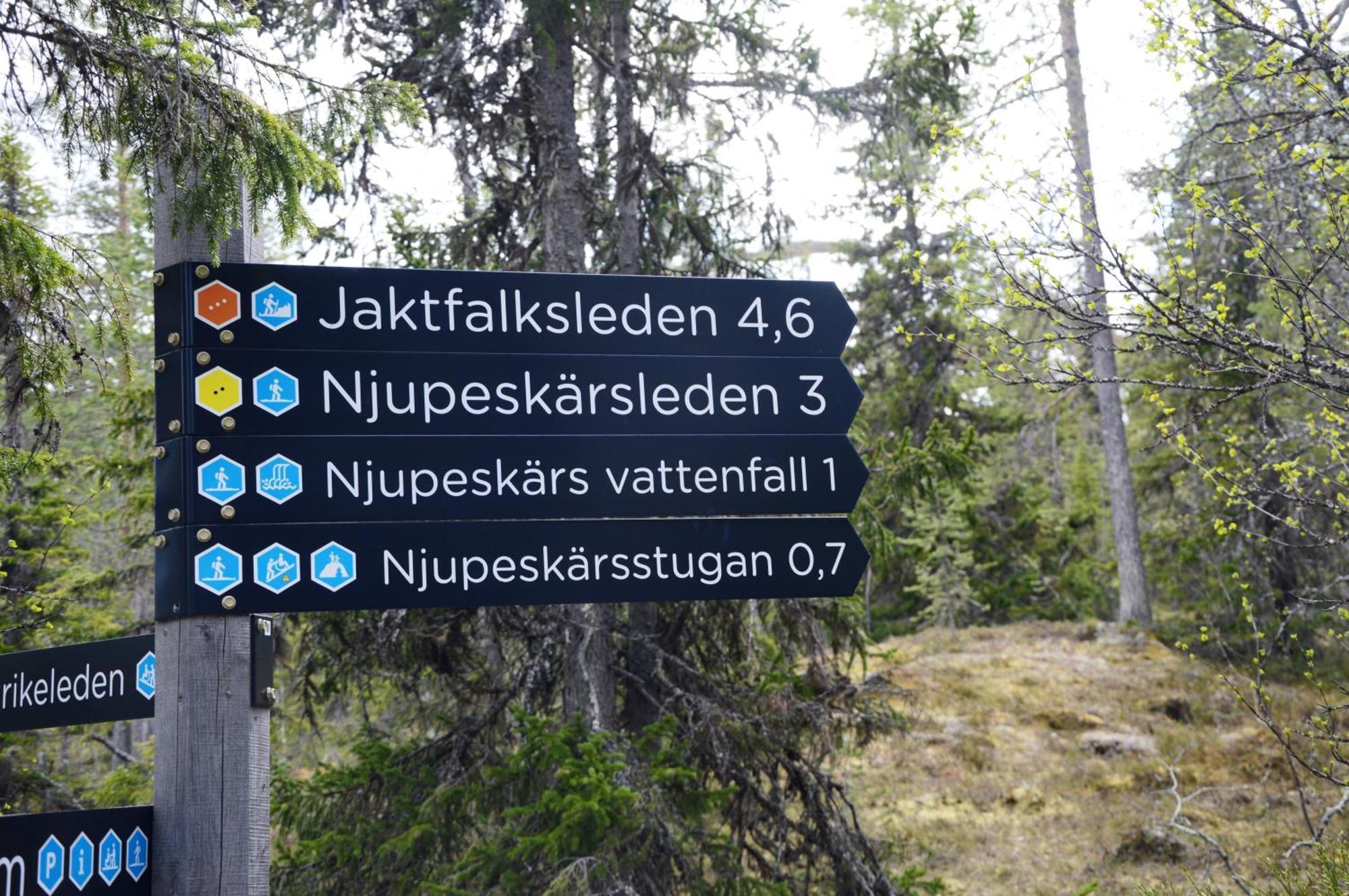 12 - Fulufjellets Nasjonalparker - Natur-, Dyre- Og Fugleopplevelser Ljørdal Kültér fotó