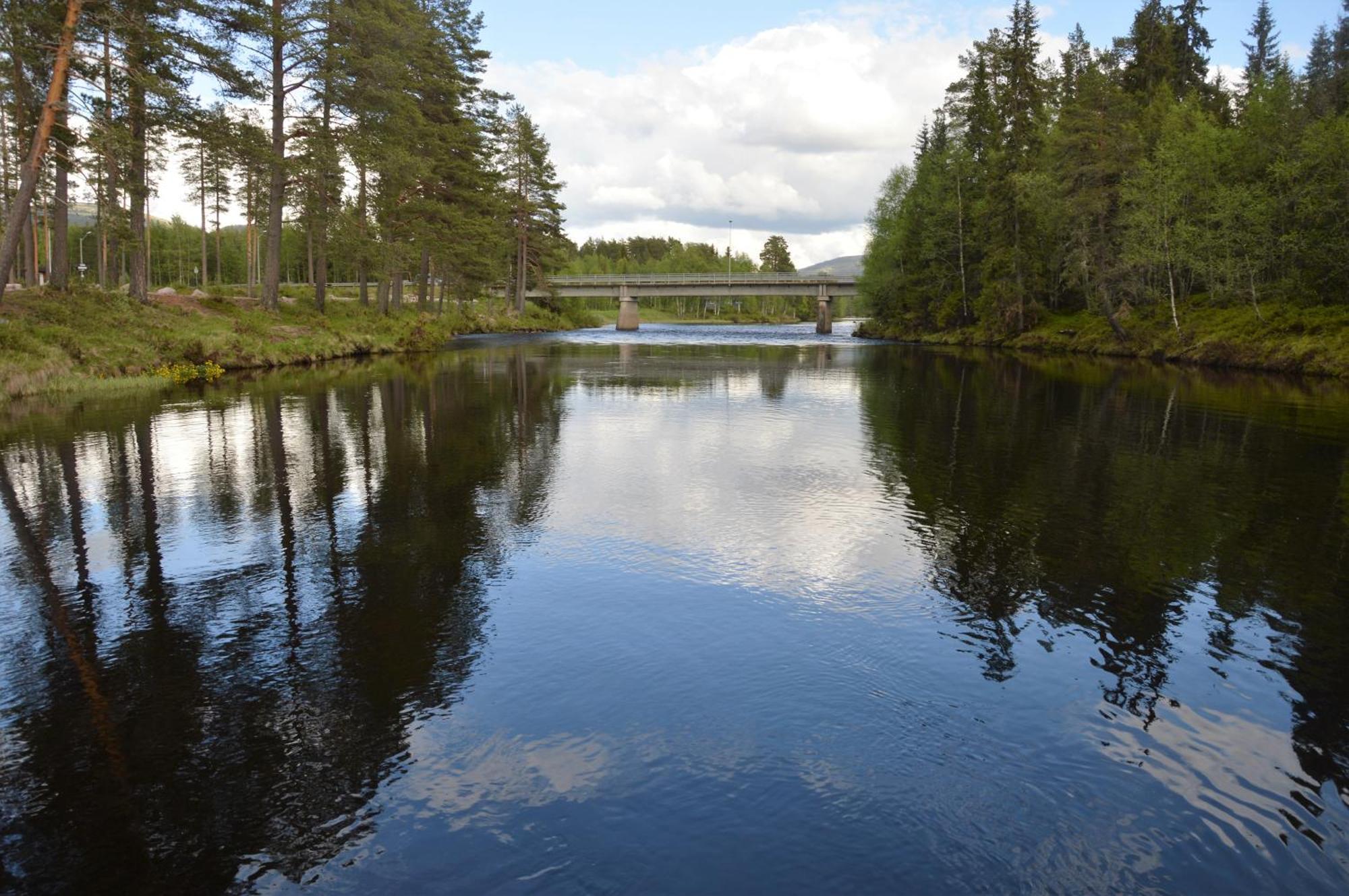 12 - Fulufjellets Nasjonalparker - Natur-, Dyre- Og Fugleopplevelser Ljørdal Kültér fotó